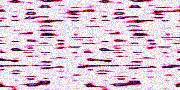 Textures 271
